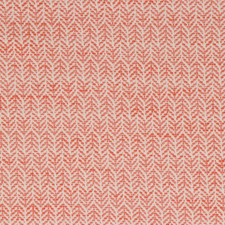 Festoon Persimmon by Bella-Dura Designer Fabric  100% HIGH UV POLYESTER USA 80,000 H: .75" V: 2" 56.25"  - Swanky Fabrics -