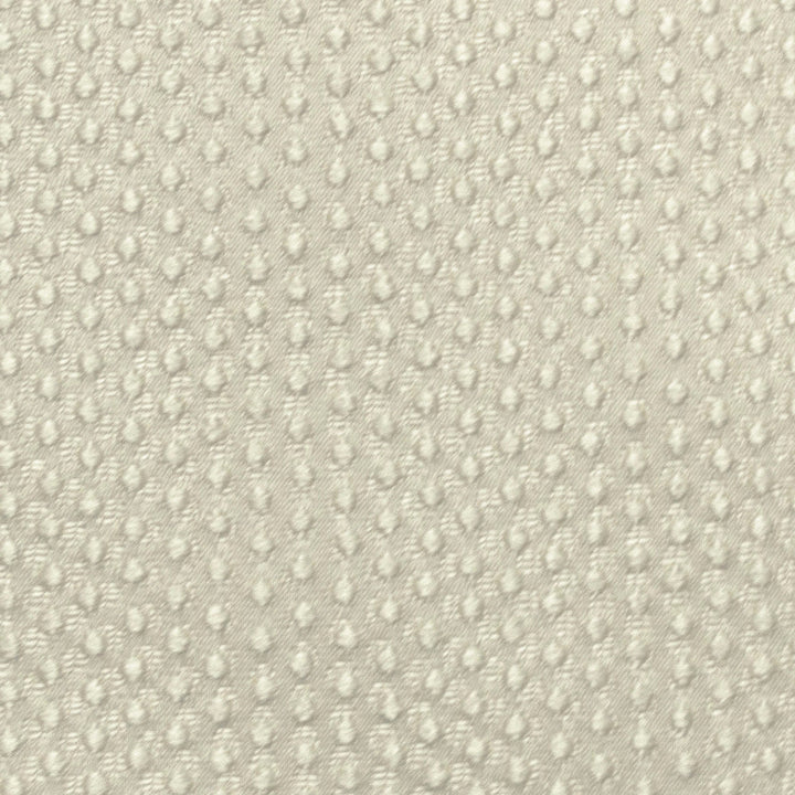 Fianna C Pearl by Europatex Designer Fabric Fianna 100% Polyester 3.14" H, 1.65" V 55.00 inches - Swanky Fabrics -