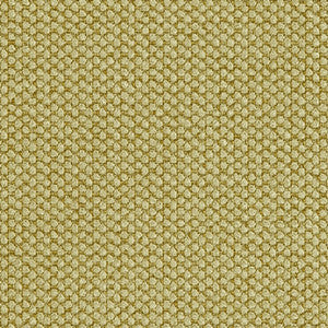 Crypton Fabric Fleece Celery