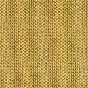 Crypton Fabric Fleece Gold