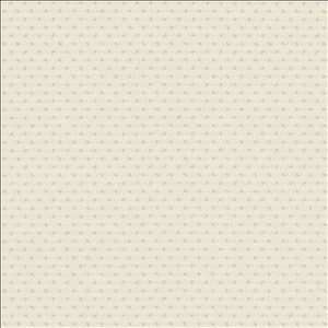 Kasmir Fabric Flow 55 Cloud