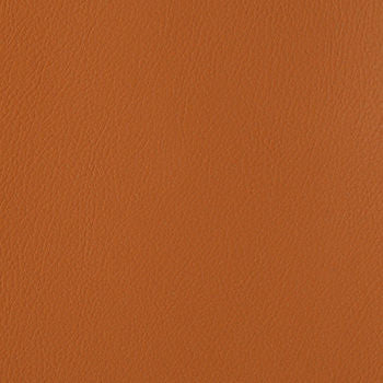 Foundation Autumn by Nassimi Designer Fabric See sample 100% Vinyl  100000 Horizontal: Not Applicable and Vertical: Not Applicable 54"  - Swanky Fabrics -