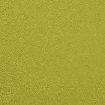 Foundation Spring PFO-017 by Nassimi Designer Fabric See sample 100% Vinyl USA or Imported Water-based cleaning agents and foam may be used for cleaning. Cleaning by a professional cleaning service is recommended. </p><p>Repeat: Horizontal: and Vertical: 54" - Swanky Fabrics -