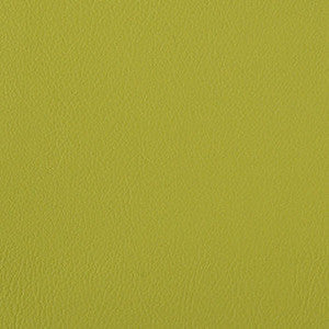 Nassimi Fabric Foundation Spring