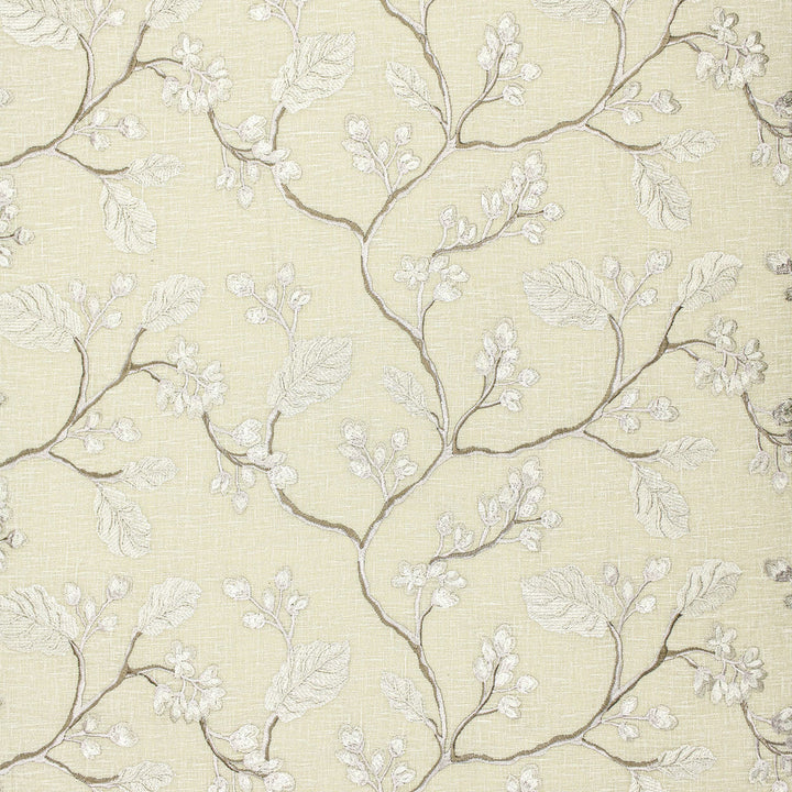 Gammon 2 Taupe by Stout Fabric Stout Fabric Gammon 2 TaupeFabric COLOR MY WINDOW PEARL/DRIFTWOOD INDIA </p><p>Repeat: H: 16.500, V: 9.250 51.5 in - Fabric Carolina -