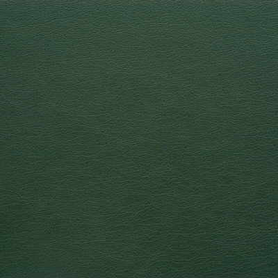 Kravet Design Gato-303 by Kravet Design Fabric Kravet Design Fabric Kravet Design Gato-303Fabric POLYURETHANE - 100% Japan </p><p>Repeat: H: 0, V: 0 54 - Fabric Carolina -