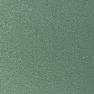 Kravet Fabric Gato-323
