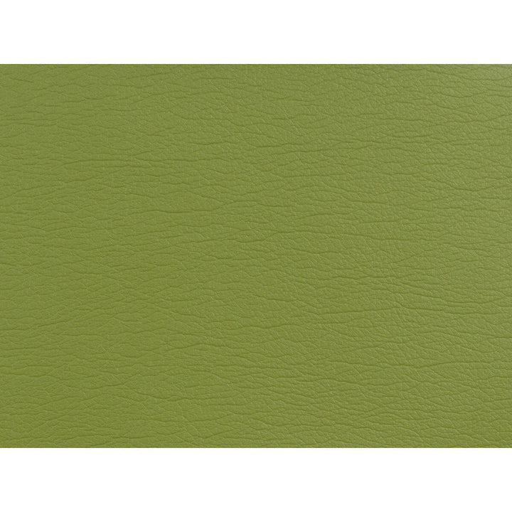 Kravet Design Gato-5353 by Kravet Design Fabric Kravet Design Fabric Kravet Design Gato-5353Fabric POLYURETHANE - 100% Japan </p><p>Repeat: H: 0, V: 0 54 - Fabric Carolina -