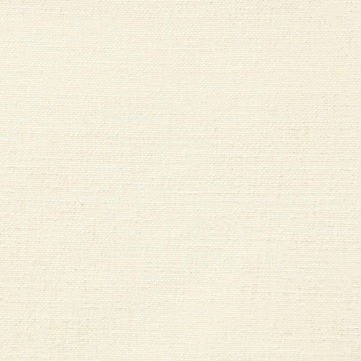 Gaya 1 Vanilla by Stout Designer Fabric Rainbow Library Pearl/Parchment 70% Polyester 30% Cotton INDIA CATB 117-2013 WYZENBEEK 50 000 DOUBLE RUB WEAR TEST (HEAVY DUTY) Horizontal: 0 and Vertical: 0 54 in - Swanky Fabrics -