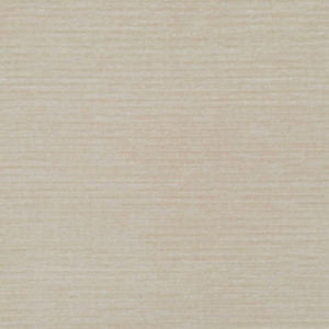 Gazette Latte 045 by Norbar Designer Fabric GAZETTE 100 PLYESTER INDIA 1/8"V 54 - Swanky Fabrics -