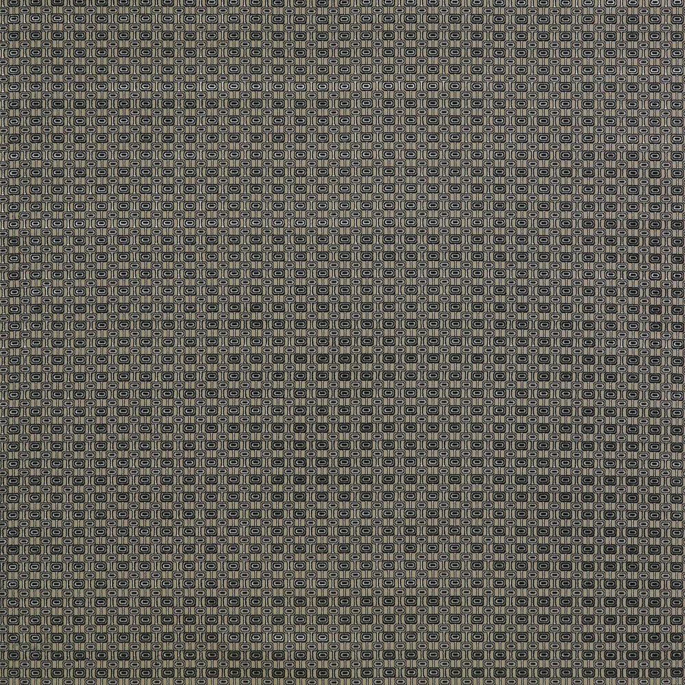 Ines Gris/Onyx by Gaston Y Daniela Fabric Gaston Y Daniela Fabric Ines Gris/OnyxFabric LORENZO CASTILLO II VISCOSE - 59%;POLYESTER - 23%;COTTON - 18% Belgium </p><p>Repeat: H: 1.69, V: 1.3 55 - Fabric Carolina -