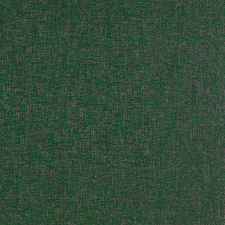 Teresa Verde by Gaston Y Daniela Designer Fabric LORENZO CASTILLO II RAYON - 38%;VISCOSE - 30%;COTTON - 15%;POLYESTER - 10%;LINEN - 7% Turkey HEAVY Horizontal: 12.99 and Vertical: 14.17 55 - Swanky Fabrics -