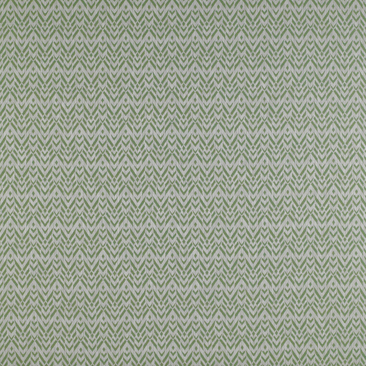 Cervantes Verde by Gaston Y Daniela Designer Fabric MADRID VISCOSE - 46%;POLYESTER - 31%;COTTON - 18%;LINEN - 5% Turkey HEAVY Horizontal: 3.4 and Vertical: 4.5 55 - Swanky Fabrics -