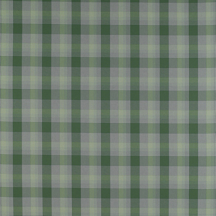 Preciados Verde by Gaston Y Daniela Designer Fabric MADRID COTTON - 100% Portugal HEAVY Horizontal: 4 and Vertical: 4 55 - Swanky Fabrics -