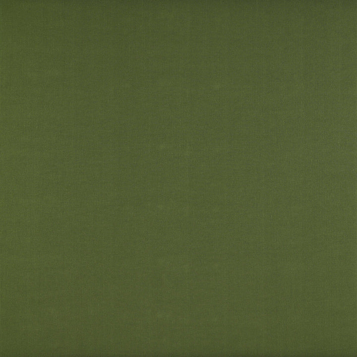 Recoletos Verde by Gaston Y Daniela Designer Fabric MADRID LINEN - 68%;COTTON - 32% Turkey MEDIUM Horizontal: 0 and Vertical: 0 55 - Swanky Fabrics -