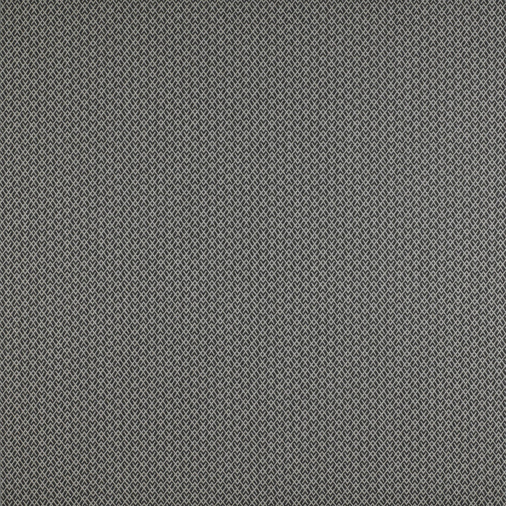 Chueca Onyx by Gaston Y Daniela Designer Fabric MADRID COTTON - 40%;VISCOSE - 30%;ACRYLIC - 10%;LINEN - 10%;POLYESTER - 10% Italy HEAVY Horizontal: 2 and Vertical: 1.2 55 - Swanky Fabrics -