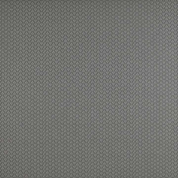 Chueca Humo by Gaston Y Daniela Fabric Gaston Y Daniela Fabric Chueca HumoFabric MADRID COTTON - 40%;VISCOSE - 30%;ACRYLIC - 10%;LINEN - 10%;POLYESTER - 10% Italy </p><p>Repeat: H: 2, V: 1.2 55 - Fabric Carolina -