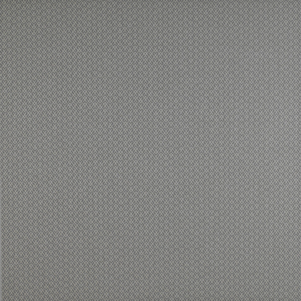 Chueca Gris by Gaston Y Daniela Fabric Gaston Y Daniela Fabric Chueca GrisFabric MADRID COTTON - 40%;VISCOSE - 30%;ACRYLIC - 10%;LINEN - 10%;POLYESTER - 10% Italy </p><p>Repeat: H: 2, V: 1.2 55 - Fabric Carolina -