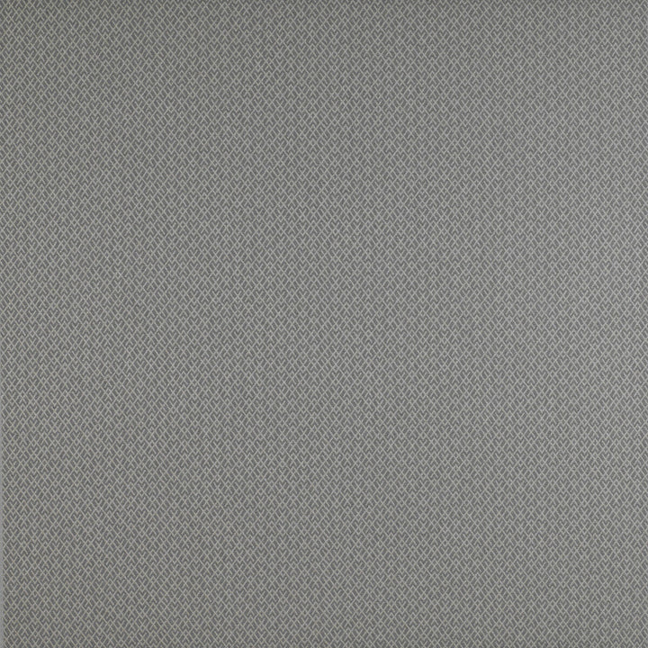 Chueca Gris by Gaston Y Daniela Fabric Gaston Y Daniela Fabric Chueca GrisFabric MADRID COTTON - 40%;VISCOSE - 30%;ACRYLIC - 10%;LINEN - 10%;POLYESTER - 10% Italy </p><p>Repeat: H: 2, V: 1.2 55 - Fabric Carolina -