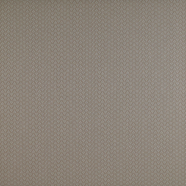 Chueca Beige by Gaston Y Daniela Fabric Gaston Y Daniela Fabric Chueca BeigeFabric MADRID COTTON - 40%;VISCOSE - 30%;ACRYLIC - 10%;LINEN - 10%;POLYESTER - 10% Italy </p><p>Repeat: H: 2, V: 1.2 55 - Fabric Carolina -