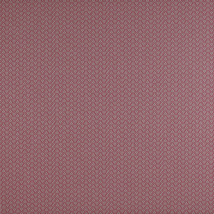 Chueca Frambuesa by Gaston Y Daniela Fabric Gaston Y Daniela Fabric Chueca FrambuesaFabric MADRID COTTON - 40%;VISCOSE - 30%;ACRYLIC - 10%;LINEN - 10%;POLYESTER - 10% Italy </p><p>Repeat: H: 2, V: 1.2 55 - Fabric Carolina -
