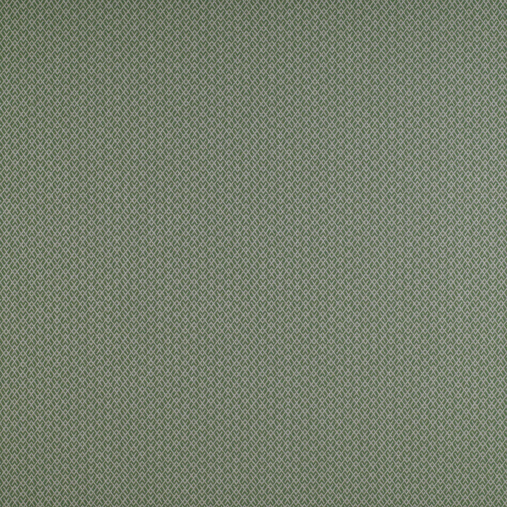 Chueca Verde by Gaston Y Daniela Designer Fabric MADRID COTTON - 40%;VISCOSE - 30%;ACRYLIC - 10%;LINEN - 10%;POLYESTER - 10% Italy HEAVY Horizontal: 2 and Vertical: 1.2 55 - Swanky Fabrics -