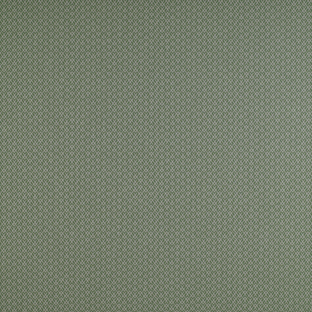 Chueca Verde by Gaston Y Daniela Designer Fabric MADRID COTTON - 40%;VISCOSE - 30%;ACRYLIC - 10%;LINEN - 10%;POLYESTER - 10% Italy HEAVY Horizontal: 2 and Vertical: 1.2 55 - Swanky Fabrics -