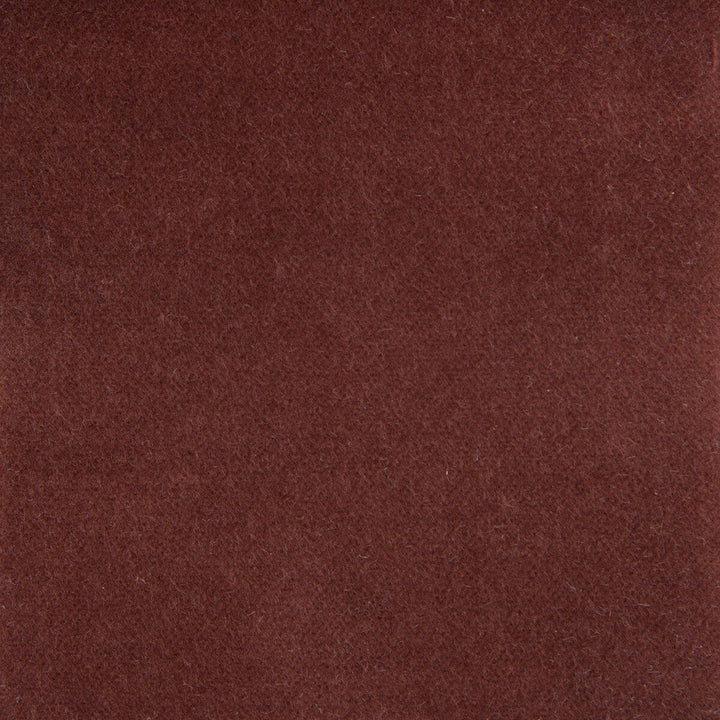 Venecia Avellana by Gaston Y Daniela Designer Fabric BASICS COTTON - 86%;MODACRYLIC - 14% Czech Republic HEAVY Horizontal: 0 and Vertical: 0 55 - Swanky Fabrics -