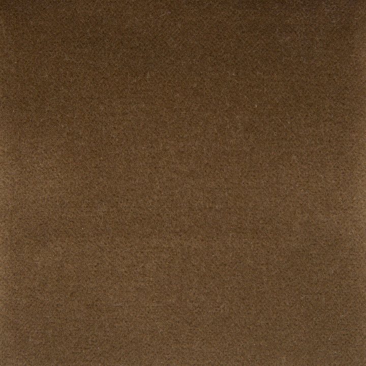 Venecia Camel by Gaston Y Daniela Fabric Gaston Y Daniela Fabric Venecia CamelFabric BASICS COTTON - 86%;MODACRYLIC - 14% Czech Republic </p><p>Repeat: H: 0, V: 0 55 - Fabric Carolina -