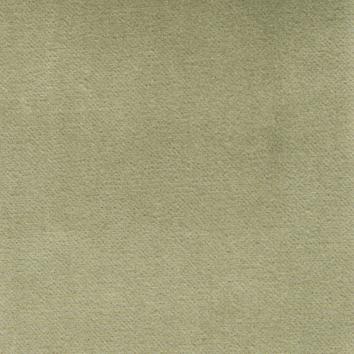 Venecia Verde Claro by Gaston Y Daniela Designer Fabric BASICS COTTON - 86%;MODACRYLIC - 14% Czech Republic HEAVY Horizontal: 0 and Vertical: 0 55 - Swanky Fabrics -