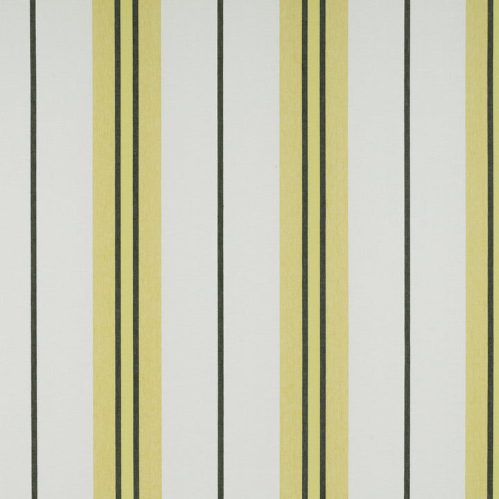 Burano Onyx/Amarillo by Gaston Y Daniela Designer Fabric TIERRAS LINEN - 94%;POLYESTER - 6% Turkey - Horizontal: 19.48 and Vertical: 0 118 - Swanky Fabrics -