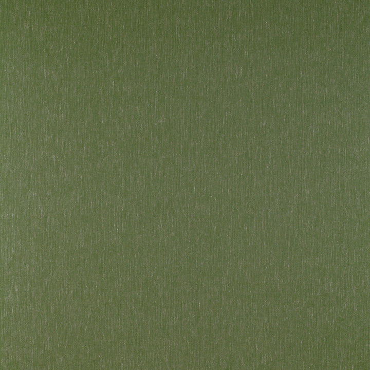 Kf Gyd:: by Gaston Y Daniela Designer Fabric TIERRAS COTTON - 45%;VISCOSE - 27%;ACRYLIC - 14%;LINEN - 7%;POLYAMIDE - 7% Italy HEAVY Horizontal: 0.01 and Vertical: 0.01 55 - Swanky Fabrics -