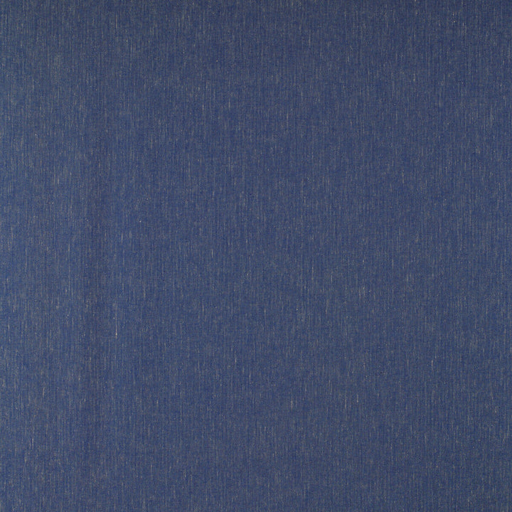 Kf Gyd:: by Gaston Y Daniela Designer Fabric TIERRAS COTTON - 45%;VISCOSE - 27%;ACRYLIC - 14%;LINEN - 7%;POLYAMIDE - 7% Italy HEAVY Horizontal: 0.01 and Vertical: 0.01 55 - Swanky Fabrics -