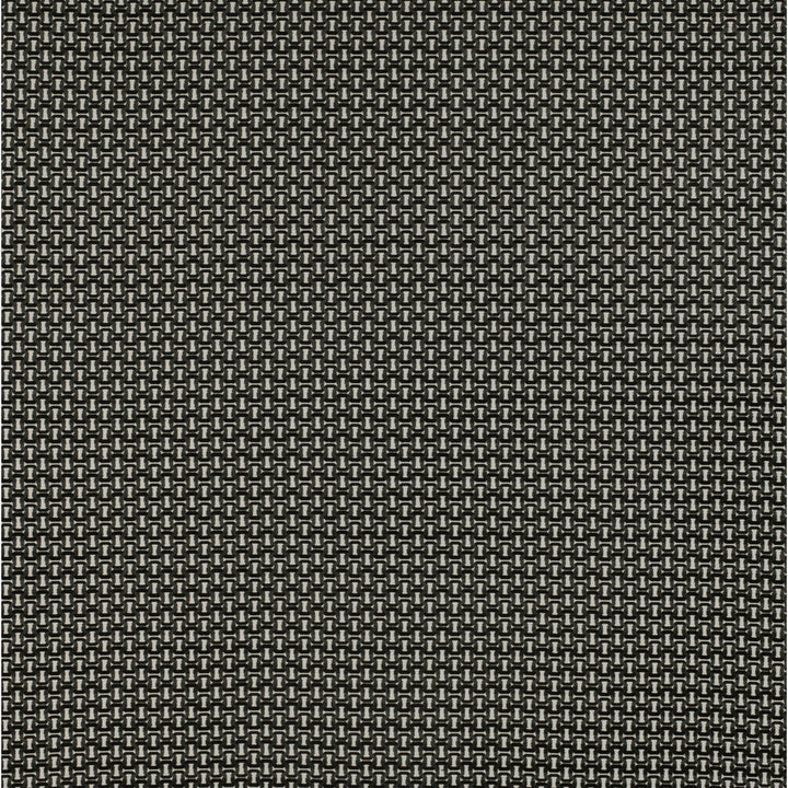 Viareggio Blanco/Onyx by Gaston Y Daniela Designer Fabric TIERRAS VISCOSE - 59.1%;POLYESTER - 23.3%;COTTON - 17.6% Belgium HEAVY Horizontal: 1.73 and Vertical: 1.3 55 - Swanky Fabrics -