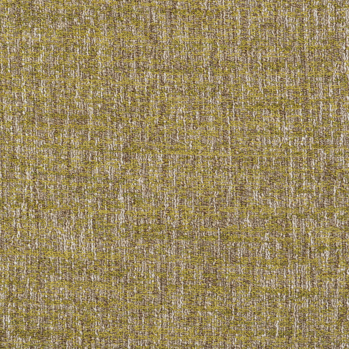 Telar Lima by Gaston Y Daniela Designer Fabric GASTON LIBRERIA ACRYLIC - 44%;POLYESTER - 21%;VISCOSE - 21%;COTTON - 13%;LINEN - 1% Turkey HEAVY Horizontal: 0 and Vertical: 0 55 - Swanky Fabrics -