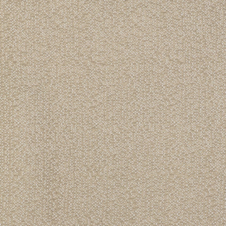 In Crudo by Gaston Y Daniela Designer Fabric GASTON LIBRERIA POLYOLEFIN FR - 100% Spain HEAVY Horizontal: and Vertical: 55 - Swanky Fabrics -