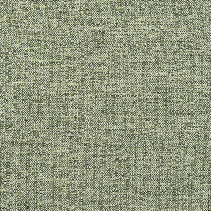 In Verde by Gaston Y Daniela Designer Fabric GASTON LIBRERIA POLYOLEFIN FR - 100% Spain HEAVY Horizontal: 0 and Vertical: 0 55 - Swanky Fabrics -