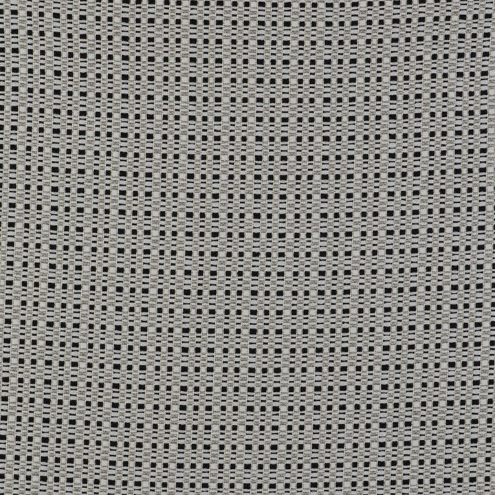 Out Blanco/Negro by Gaston Y Daniela Designer Fabric GASTON LIBRERIA POLYOLEFIN FR - 100% Italy HEAVY Horizontal: 0 and Vertical: 0 55 - Swanky Fabrics -