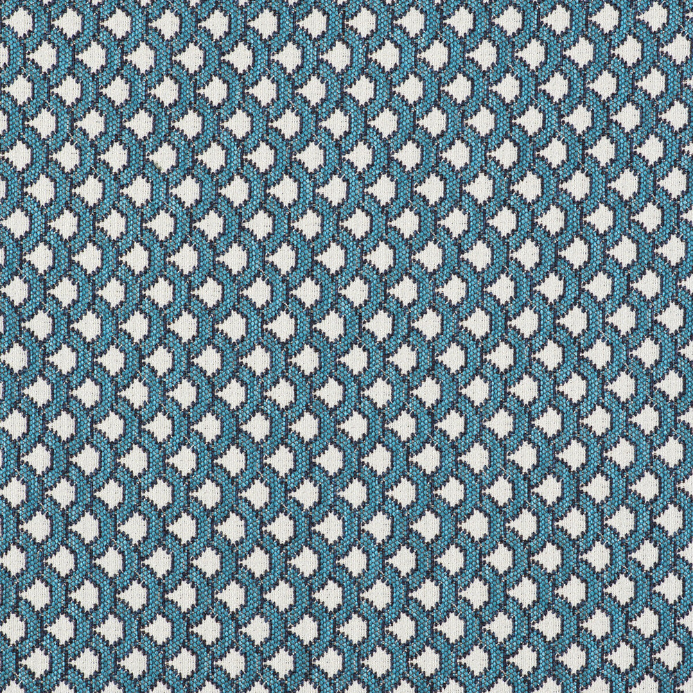 Ondas Azul by Gaston Y Daniela Designer Fabric GASTON LIBRERIA POLYOLEFIN FR - 69%;POLYESTER FR - 31% Italy HEAVY Horizontal: 0.98 and Vertical: 0.79 55 - Swanky Fabrics -