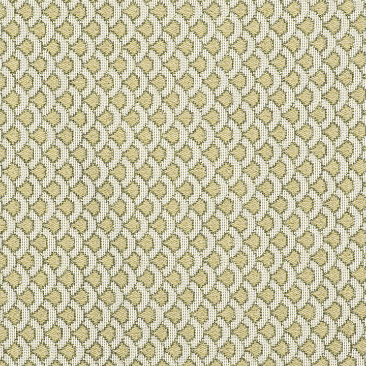 Ondas Verde by Gaston Y Daniela Designer Fabric GASTON LIBRERIA POLYOLEFIN FR - 69%;POLYESTER FR - 31% Italy HEAVY Horizontal: 0.98 and Vertical: 0.79 55 - Swanky Fabrics -