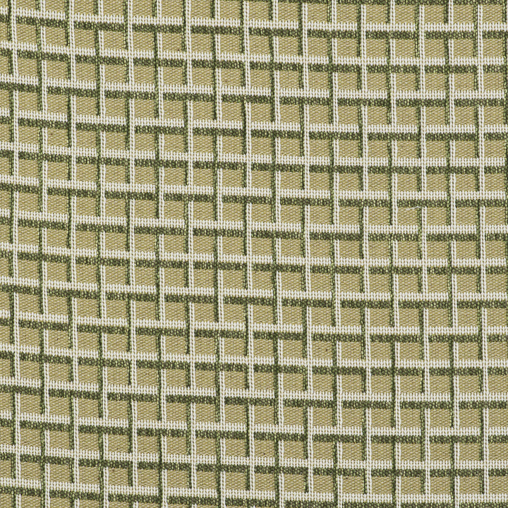 Rejas Verde by Gaston Y Daniela Designer Fabric GASTON LIBRERIA POLYOLEFIN FR - 69%;POLYESTER FR - 31% Italy HEAVY Horizontal: 2.44 and Vertical: 1.42 55 - Swanky Fabrics -