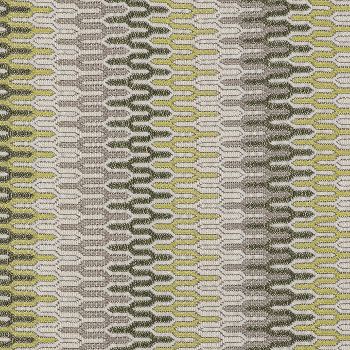 Costuras Verde by Gaston Y Daniela Designer Fabric GASTON LIBRERIA POLYOLEFIN FR - 67%;POLYESTER FR - 33% Italy HEAVY Horizontal: 0 and Vertical: 14.38 55 - Swanky Fabrics -