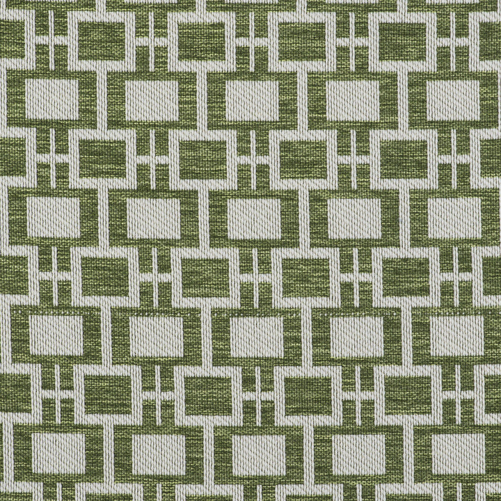 Series Verde by Gaston Y Daniela Designer Fabric GASTON LIBRERIA POLYOLEFIN FR - 100% Italy HEAVY Horizontal: 2.75 and Vertical: 2.24 55 - Swanky Fabrics -