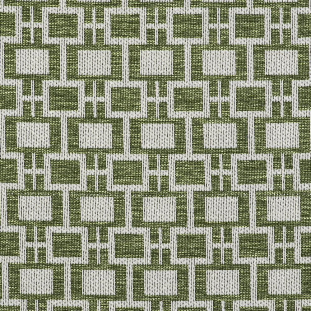 Series Verde by Gaston Y Daniela Designer Fabric GASTON LIBRERIA POLYOLEFIN FR - 100% Italy HEAVY Horizontal: 2.75 and Vertical: 2.24 55 - Swanky Fabrics -