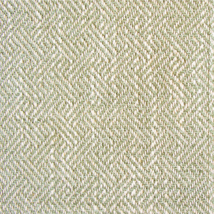 Enea Verde Claro by Gaston Y Daniela Designer Fabric GASTON LIBRERIA VISCOSE - 52%;COTTON - 23%;LINEN - 14%;POLYESTER - 11% Belgium HEAVY Horizontal: 0.91 and Vertical: 1.1 54 - Swanky Fabrics -
