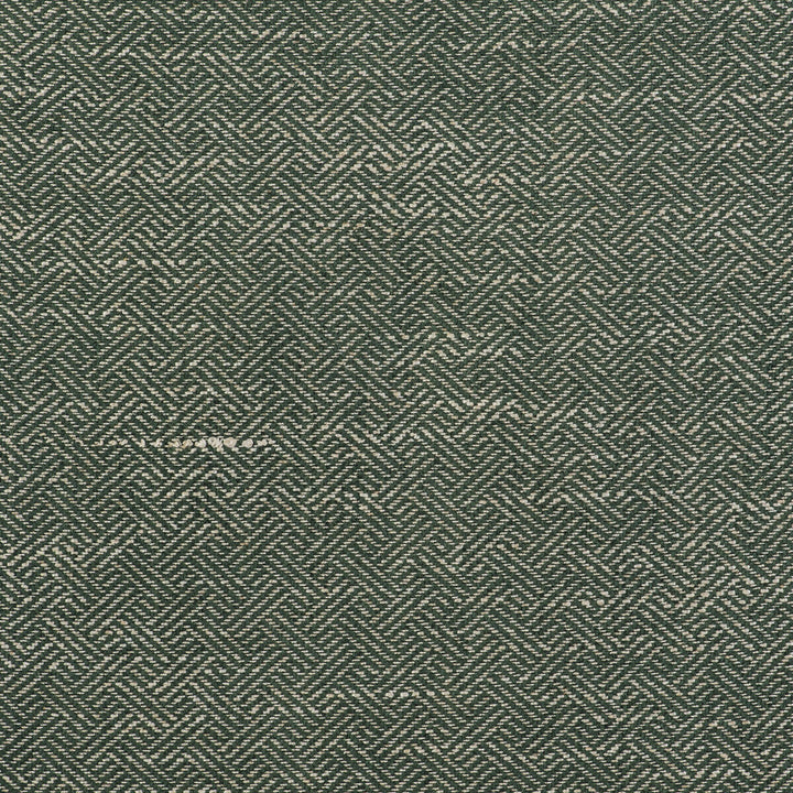 Enea Verde by Gaston Y Daniela Fabric Gaston Y Daniela Fabric Enea VerdeFabric GASTON LIBRERIA VISCOSE - 52%;COTTON - 23%;LINEN - 14%;POLYESTER - 11% Belgium </p><p>Repeat: H: 0.91, V: 1.1 54 - Fabric Carolina -