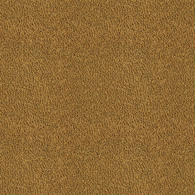 GDT5654.003.0 by Gaston Y Daniela Fabric Gaston Y Daniela Fabric GDT5654.003.0Fabric GASTON RIO GRANDE COTTON - 34%;VIRGIN WOOL - 34%;POLYESTER - 18%;ACETATE - 14% Italy </p><p>Repeat: H: 0, V: 0 55 - Fabric Carolina -