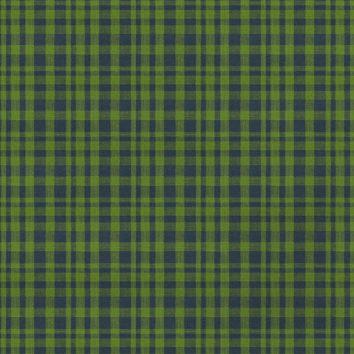 Gaston Y Daniela Upholstery GDT5675.008.0 Upholstery VISCOSE - 70%;LINEN - 30% Italy </p><p>Repeat: H: , V: 27.5 21 - My Fabric Connection -