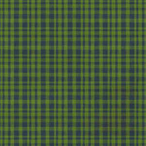 Gaston Y Daniela Fabric Drach Verde/Azul GDT5675.008.0