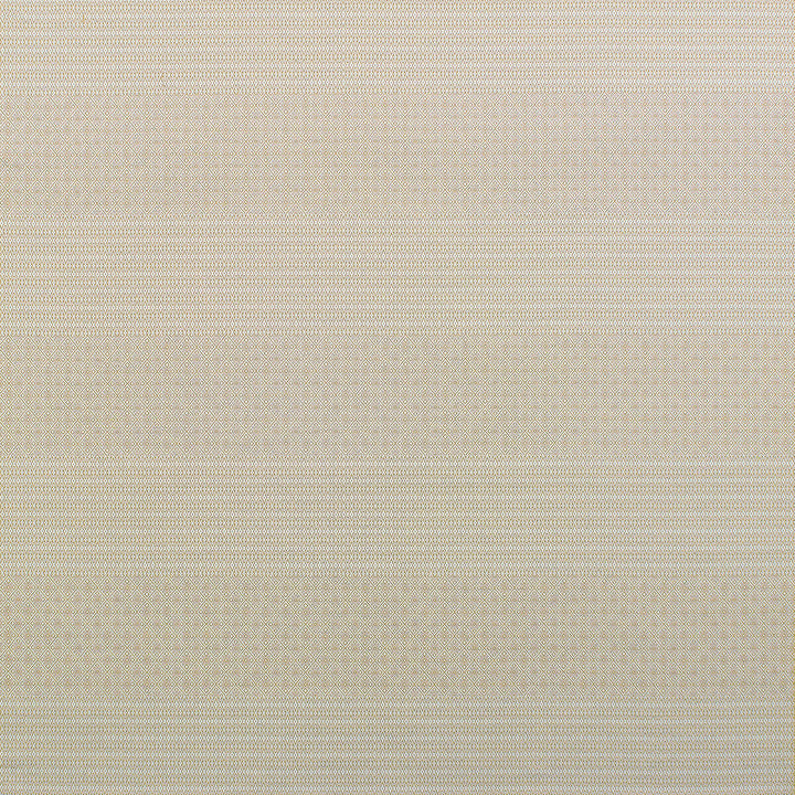 Gaston Y Daniela Upholstery GDT5697.002.0 Upholstery POLYOLEFIN FR - 100% Italy </p><p>Repeat: H: , V: 27.5 21 - My Fabric Connection -